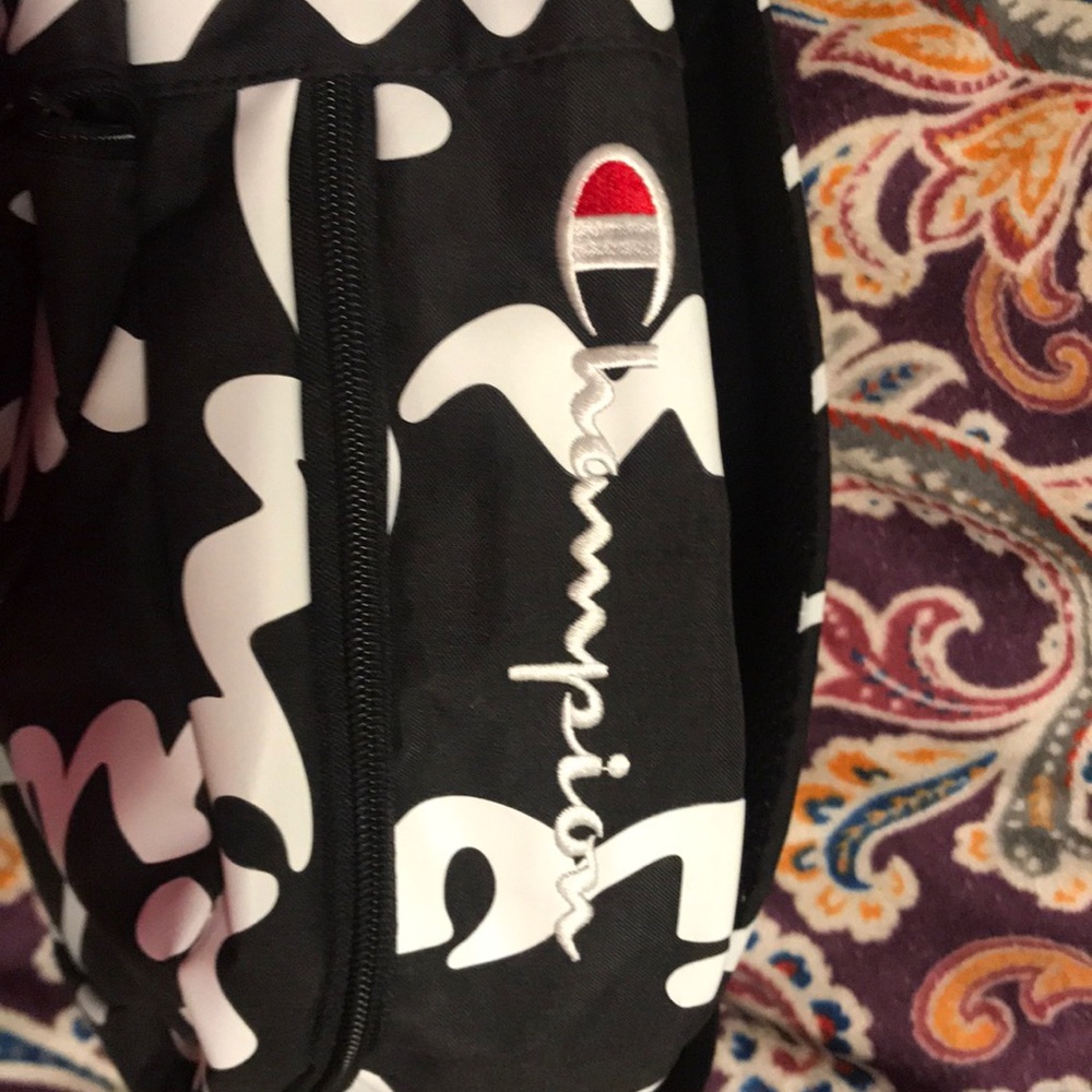 Backpack - Picture 3 of 3